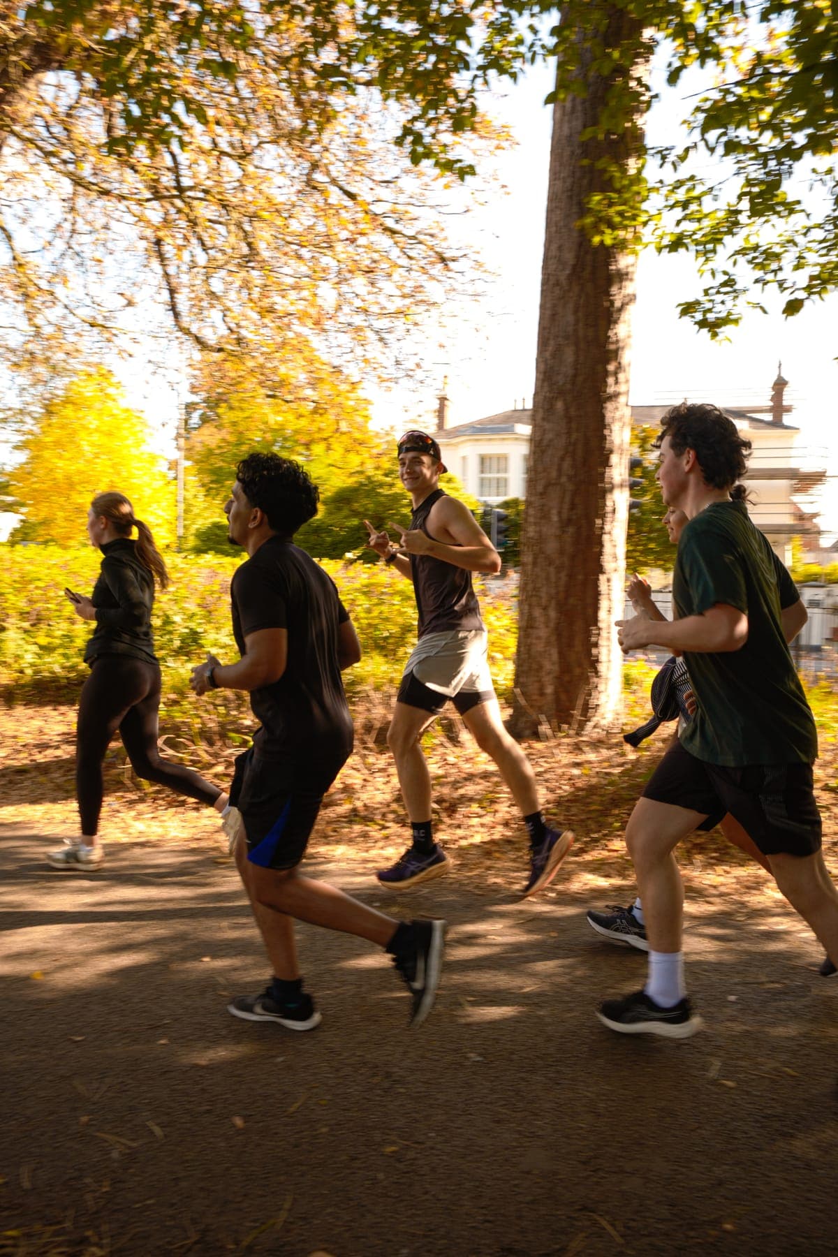 Five runners on a tree-lined path in autumn
